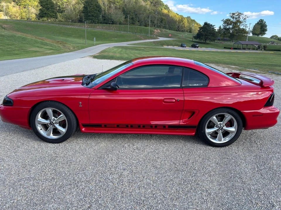 1997 Ford SN95 Mustang Cobra - Image 14 of 16
