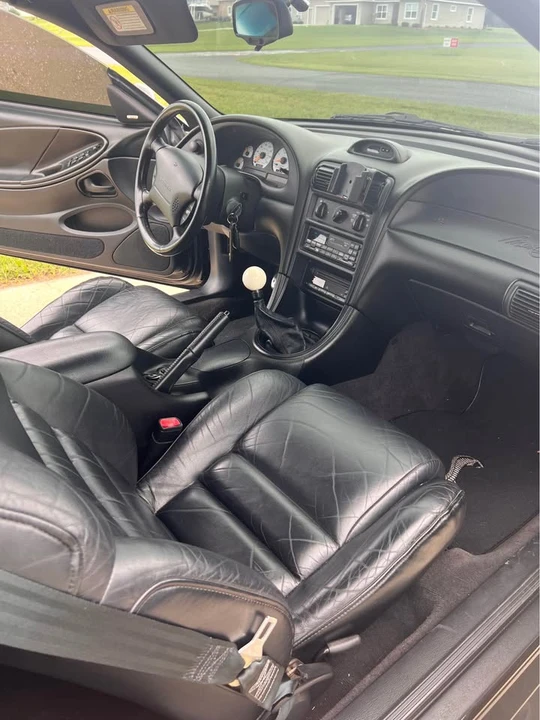 1997 Ford SN95 Mustang Cobra - Image 8 of 19