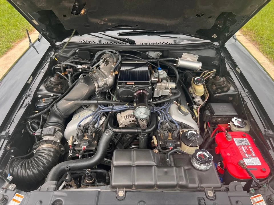 1997 Ford SN95 Mustang Cobra - Image 16 of 19
