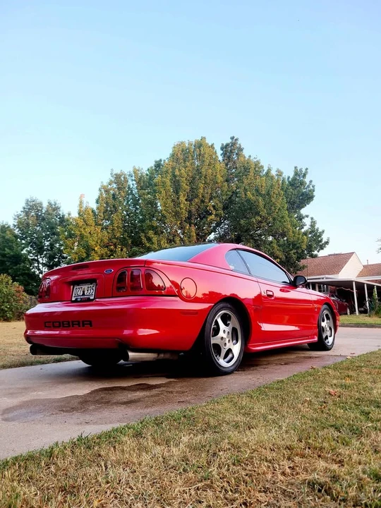 1997 Ford SN95 Mustang Cobra - Image 8 of 9