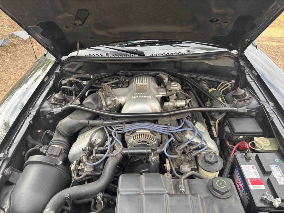 1997 Ford SN95 Mustang Cobra - Image 3 of 10