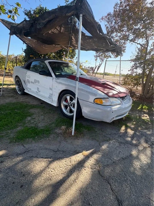 1997 Ford SN95 Mustang Cobra - Image 2 of 8