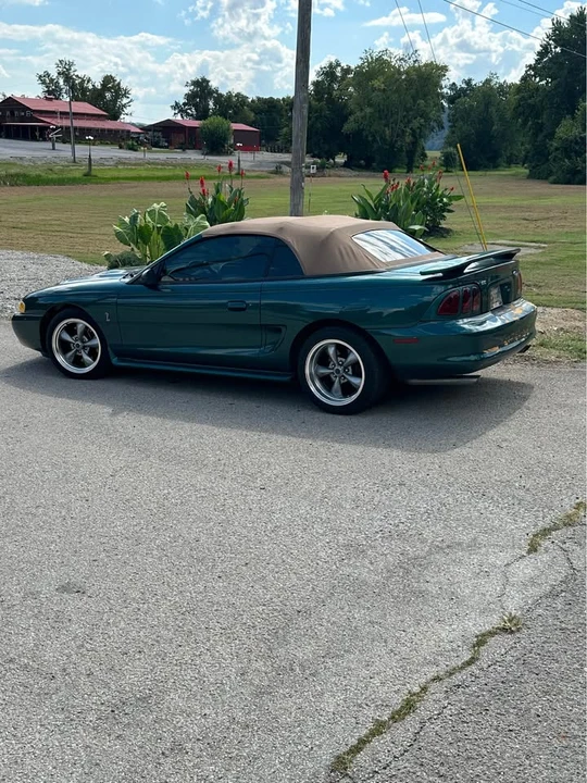 1997 Ford SN95 Mustang Cobra - Image 13 of 14