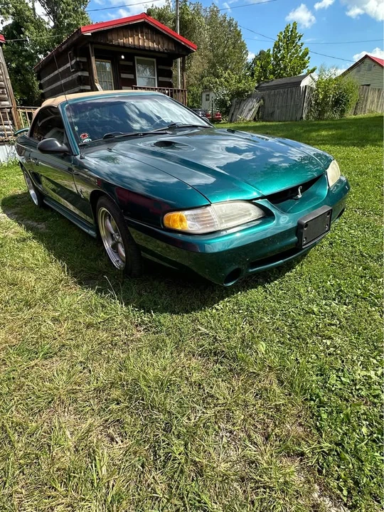 1997 Ford SN95 Mustang Cobra - Image 8 of 14
