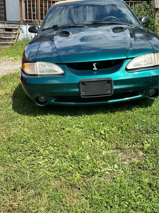 1997 Ford SN95 Mustang Cobra - Image 7 of 14