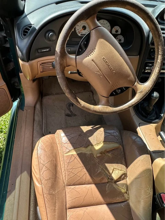 1997 Ford SN95 Mustang Cobra - Image 2 of 14