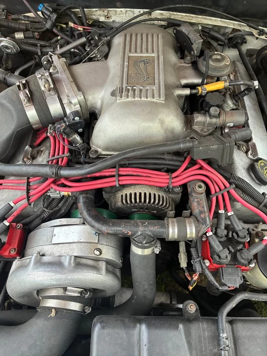 1997 Ford SN95 Mustang Cobra - Image 9 of 11