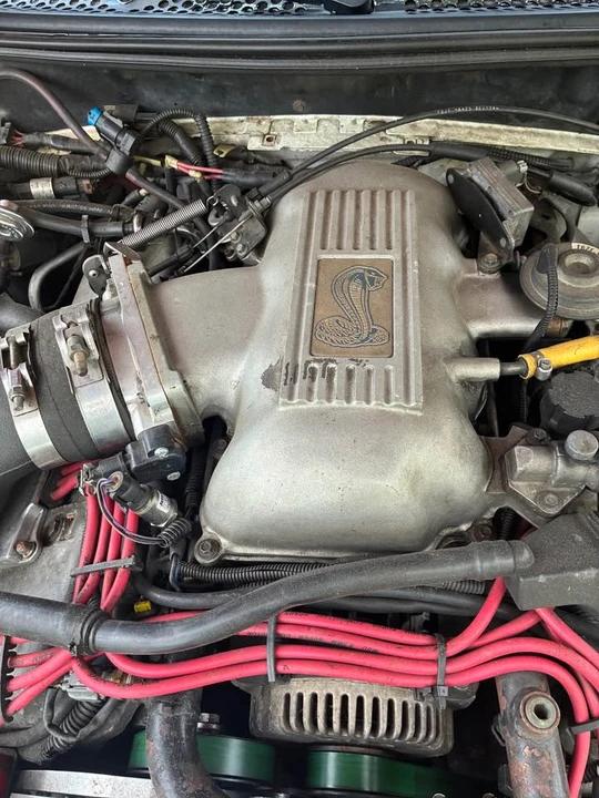 1997 Ford SN95 Mustang Cobra - Image 7 of 11