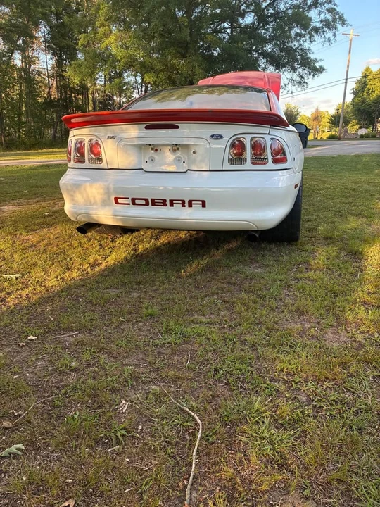 1997 Ford SN95 Mustang Cobra - Image 5 of 11