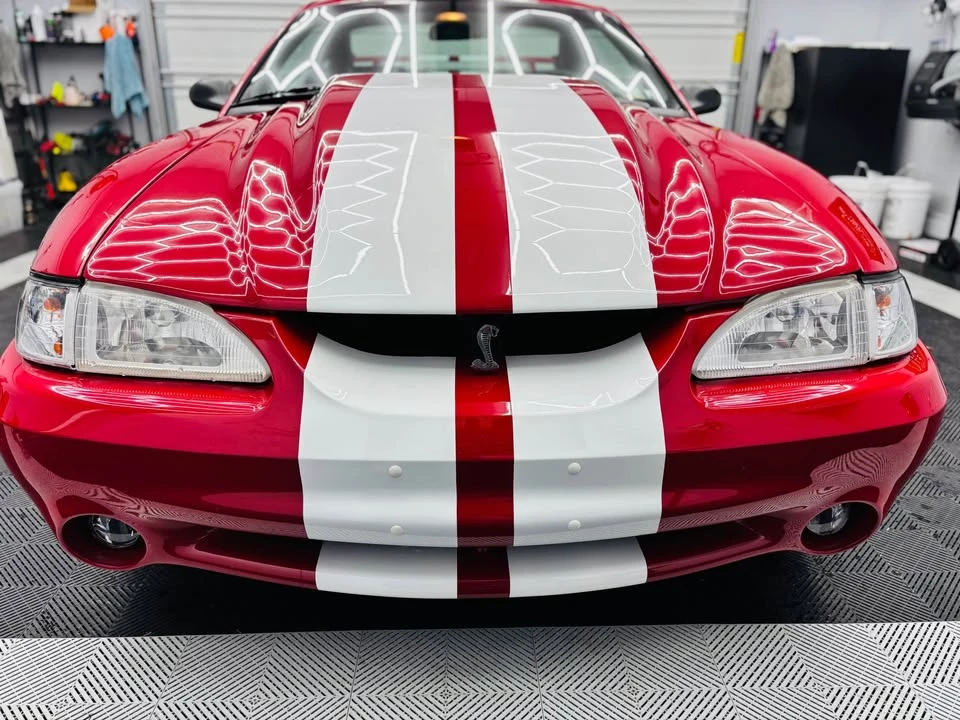 1997 Ford SN95 Mustang Cobra - Image 6 of 16