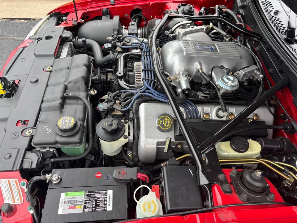 1997 Ford SN95 Mustang Cobra - Image 20 of 24