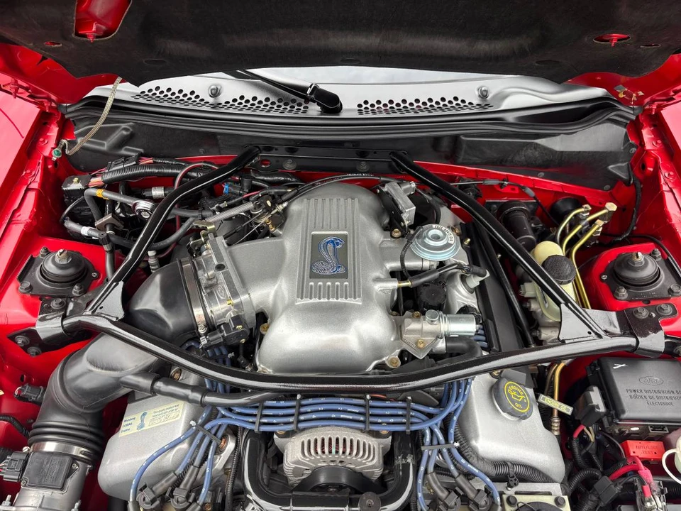 1997 Ford SN95 Mustang Cobra - Image 21 of 24