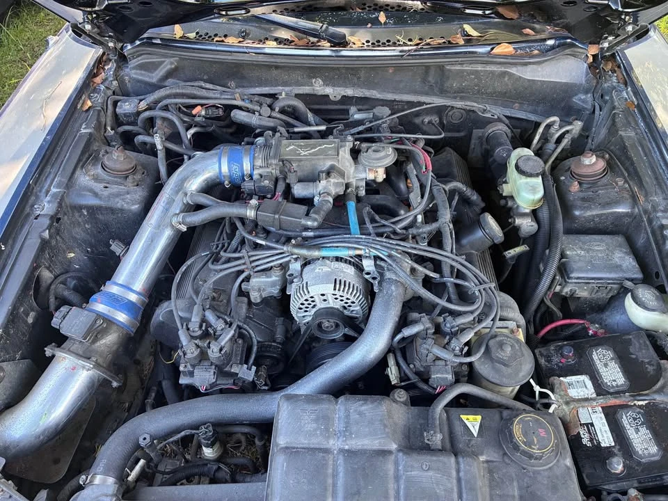 1997 Ford SN95 Mustang - Image 2 of 6