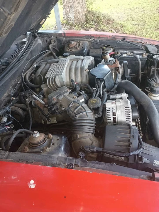 1997 Ford SN95 Mustang - Image 5 of 8