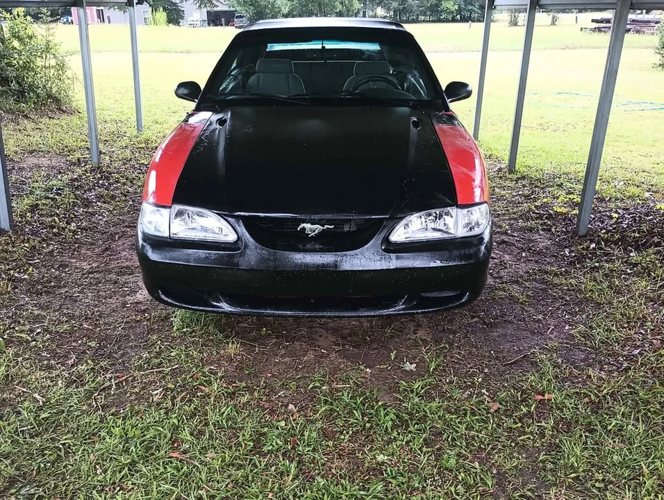 1997 Ford SN95 Mustang - Image 3 of 8