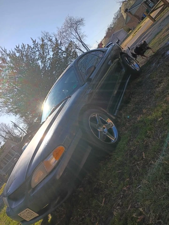 1997 Ford SN95 Mustang - Image 4 of 16