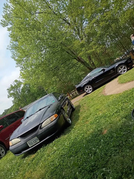 1997 Ford SN95 Mustang - Image 3 of 16