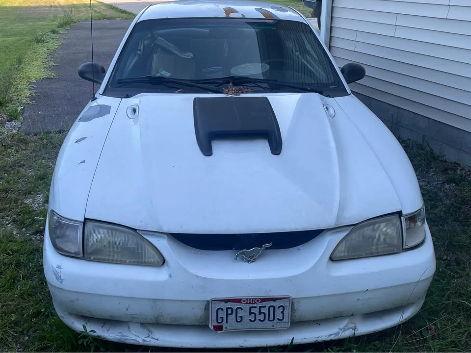 1997 Ford SN95 Mustang - Image 2 of 7
