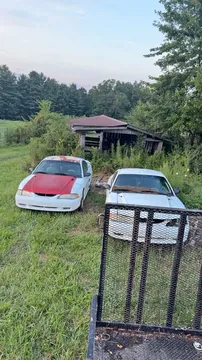 1997 Ford Mustang Coupe 2D
