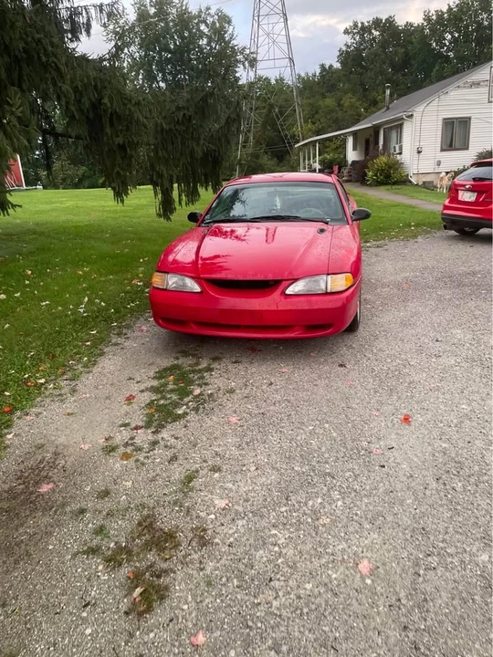 1997 Ford SN95 Mustang - Image 2 of 6