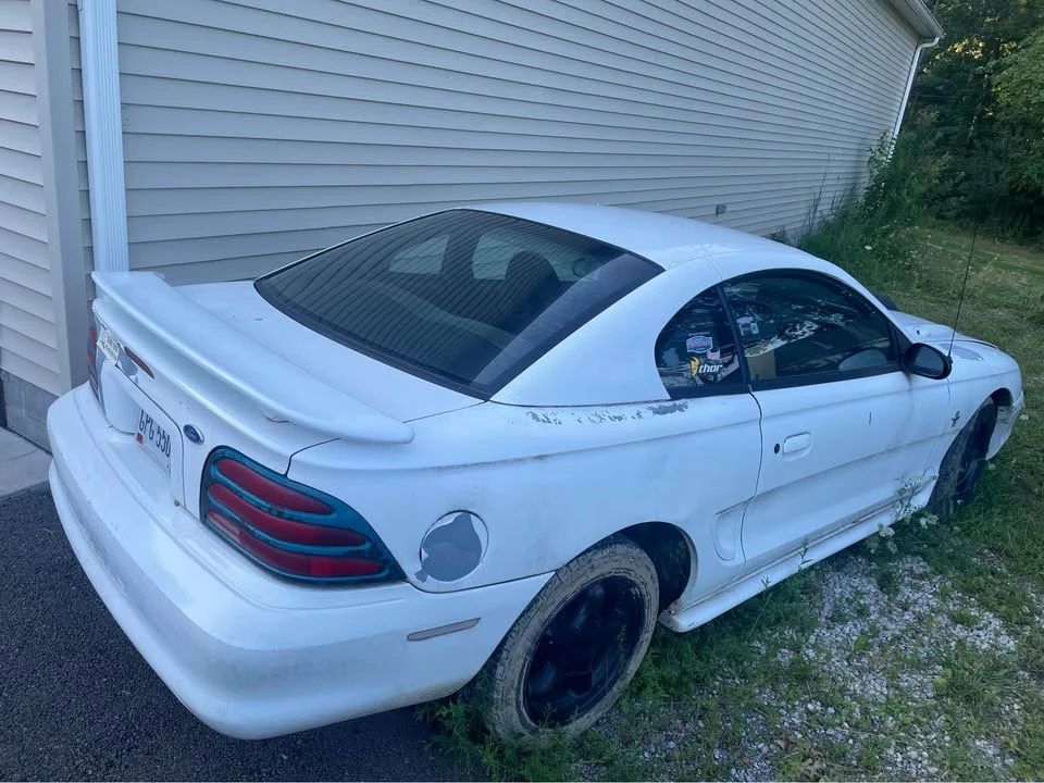 1997 Ford SN95 Mustang - Image 3 of 7
