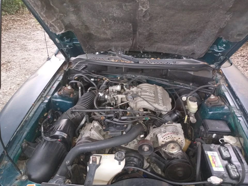 1997 Ford SN95 Mustang - Image 8 of 17