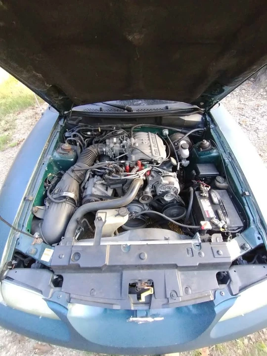 1997 Ford SN95 Mustang - Image 14 of 14