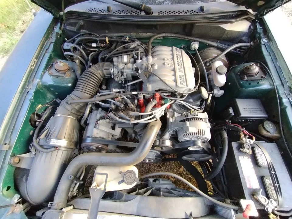 1997 Ford SN95 Mustang - Image 13 of 14
