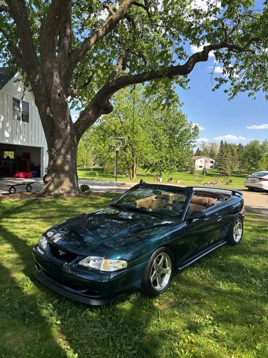 1997 Ford SN95 Mustang - Image 2 of 6