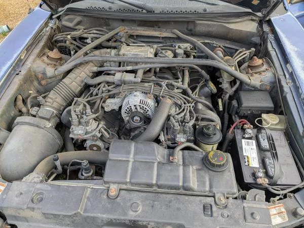 1997 Ford SN95 Mustang - Image 10 of 13