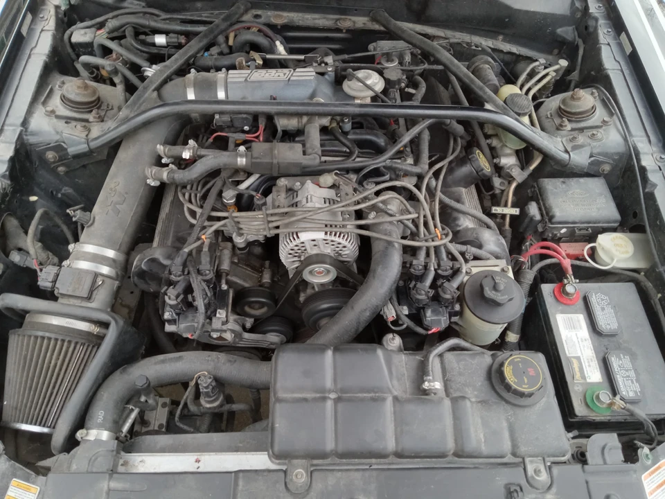 1997 Ford SN95 Mustang - Image 17 of 18