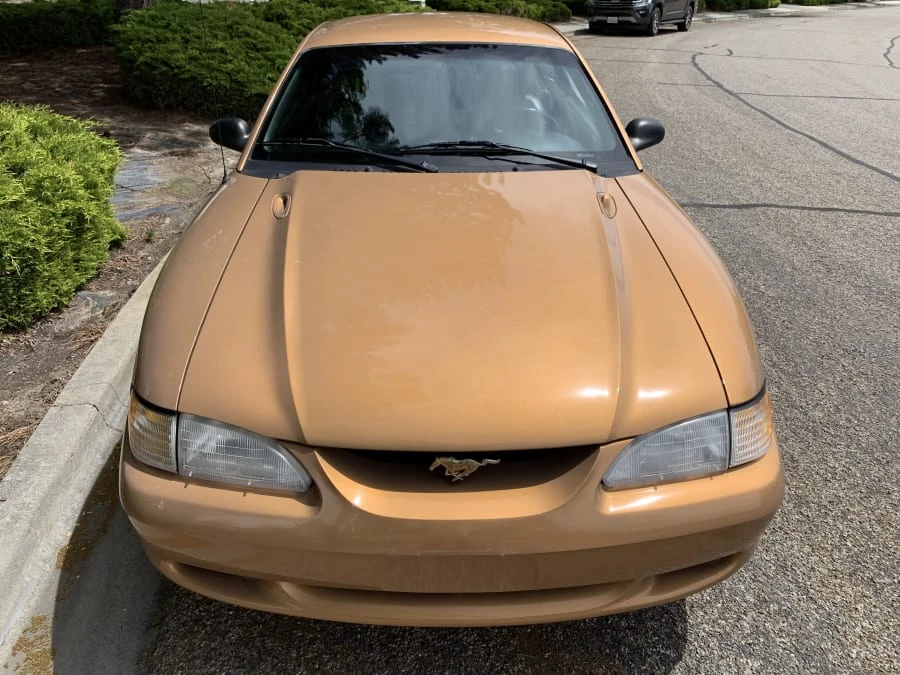 1997 Ford SN95 Mustang - Image 6 of 13