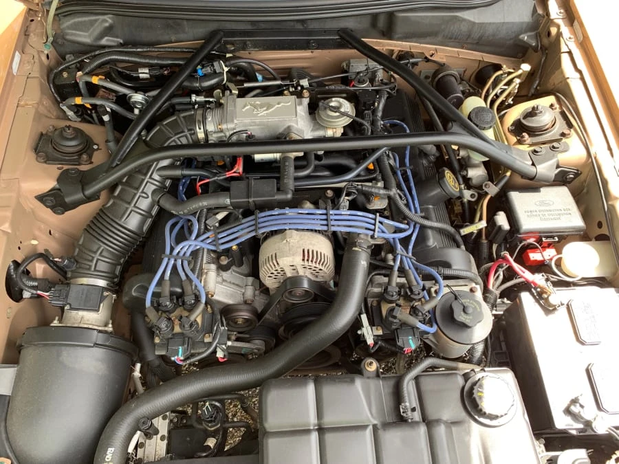 1997 Ford SN95 Mustang - Image 9 of 13