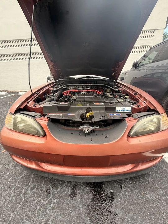 1997 Ford SN95 Mustang - Image 11 of 11