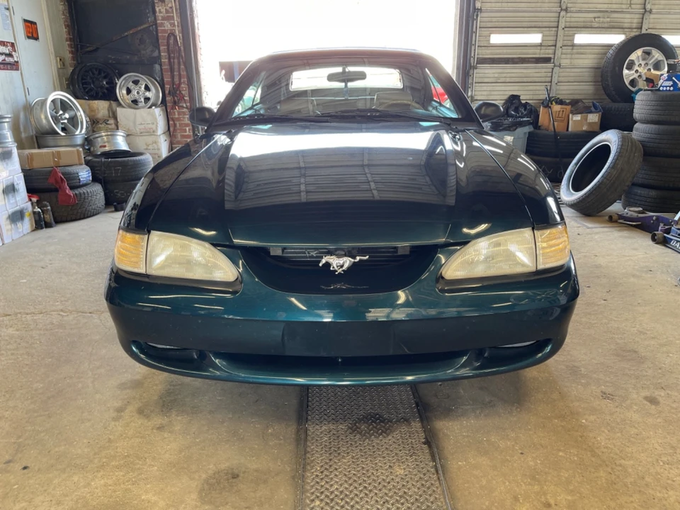 1997 Ford SN95 Mustang - Image 13 of 22