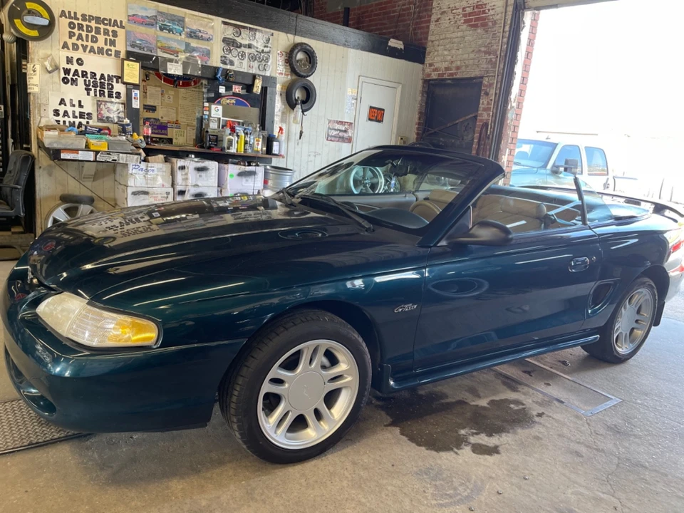 1997 Ford SN95 Mustang - Image 11 of 22