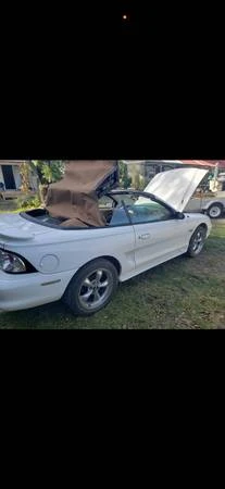1997 Ford SN95 Mustang - Image 3 of 6
