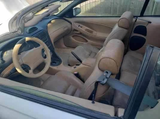1997 Ford SN95 Mustang - Image 3 of 7