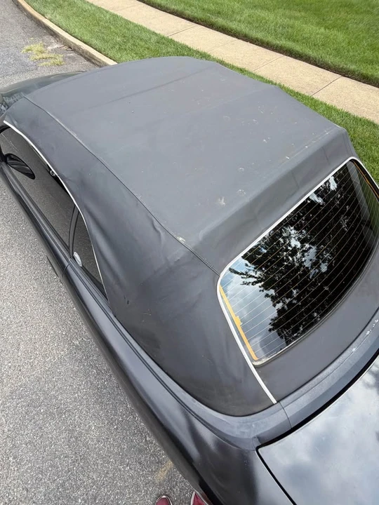 1997 Ford SN95 Mustang - Image 14 of 18