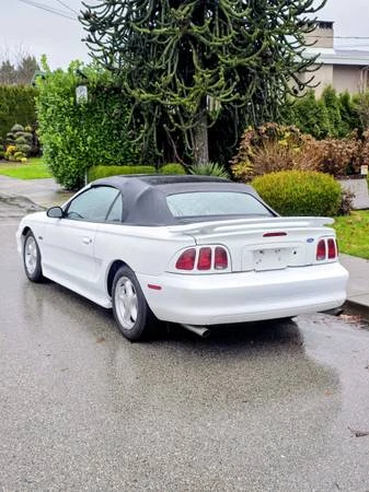 1997 Ford SN95 Mustang - Image 4 of 13