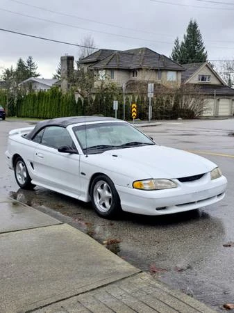 1997 Ford SN95 Mustang - Image 8 of 13