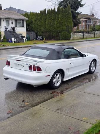 1997 Ford SN95 Mustang - Image 6 of 13