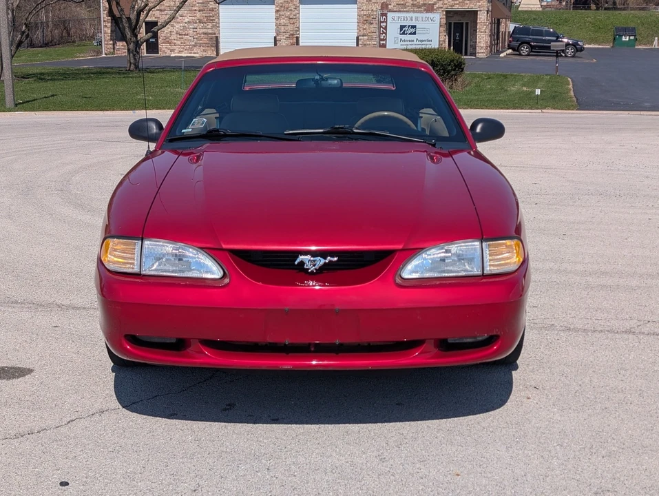 1997 Ford SN95 Mustang - Image 11 of 21