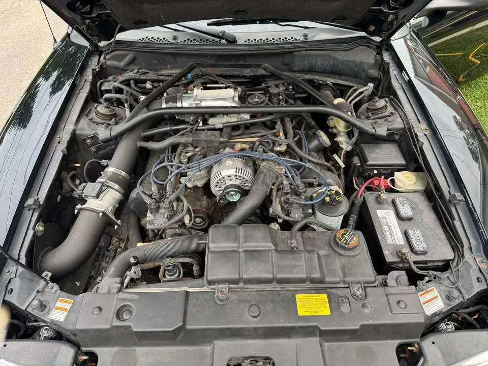 1997 Ford SN95 Mustang - Image 6 of 8