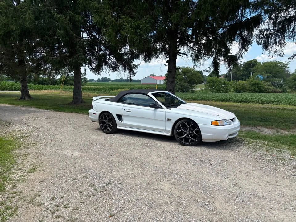 1997 Ford SN95 Mustang - Image 3 of 9