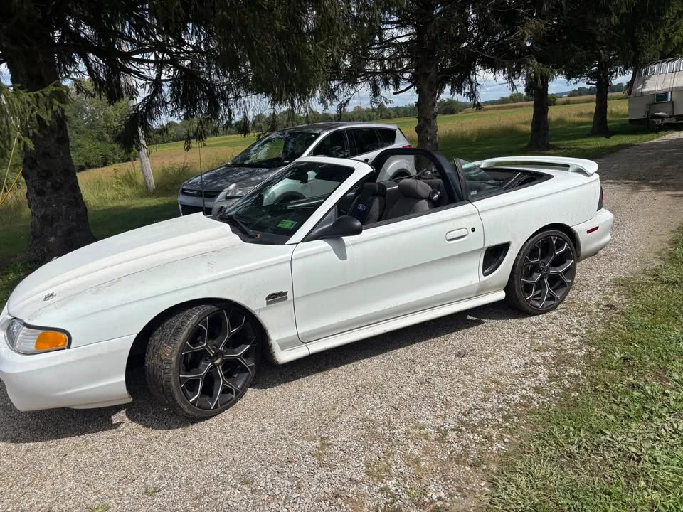 1997 Ford SN95 Mustang - Image 2 of 9