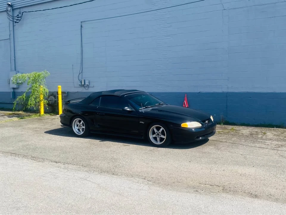 1997 Ford SN95 Mustang - Image 6 of 8