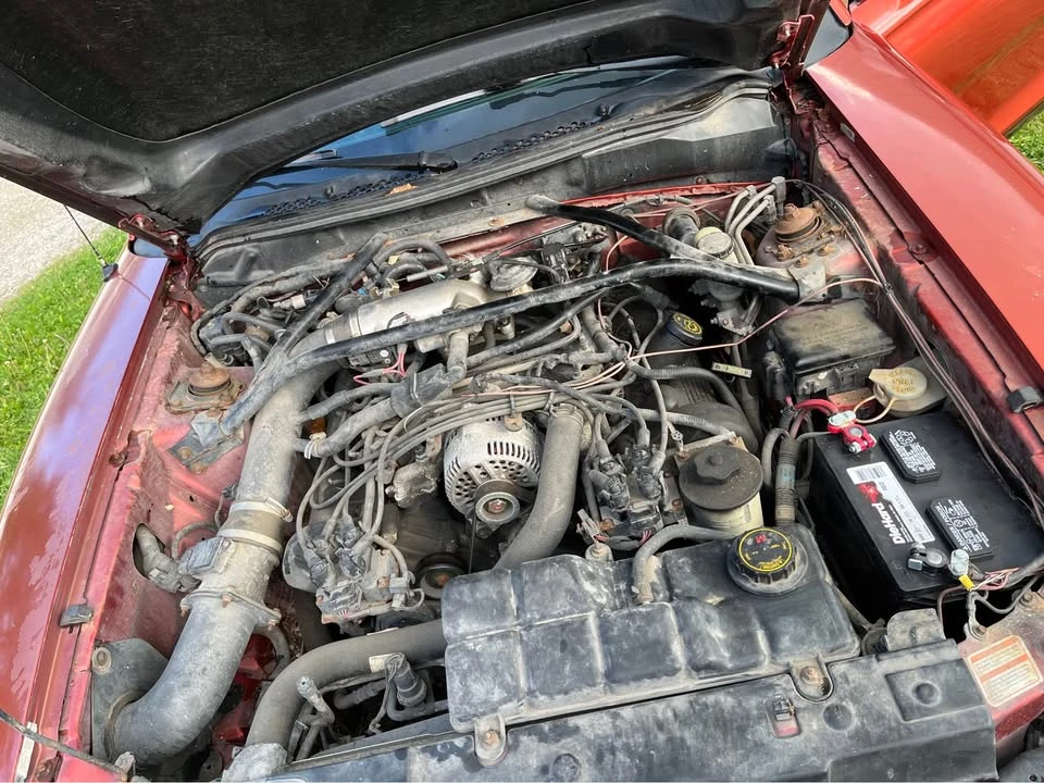 1997 Ford SN95 Mustang - Image 9 of 9