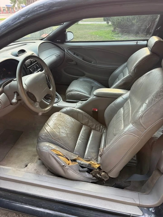 1997 Ford SN95 Mustang - Image 5 of 8