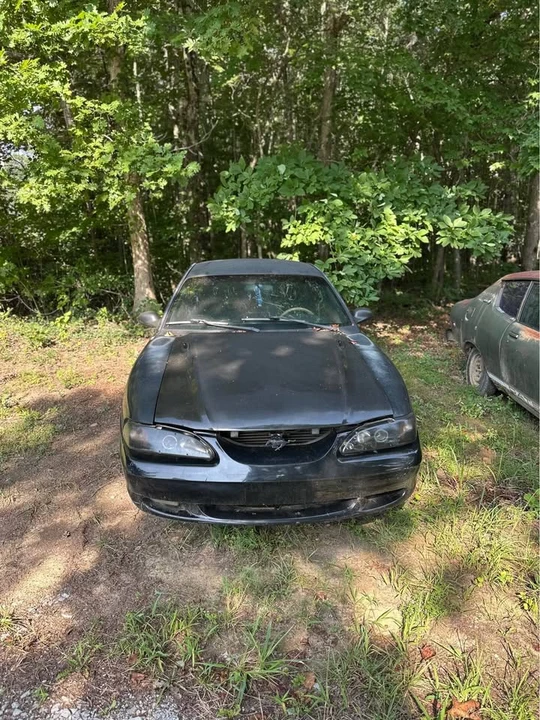 1997 Ford SN95 Mustang - Image 2 of 9